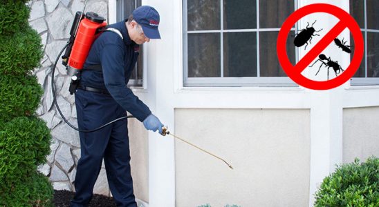 Marmaris Böcek İlaçlama böcek ilaçlama ve haşere kontrolü — ilaclama-tr.com